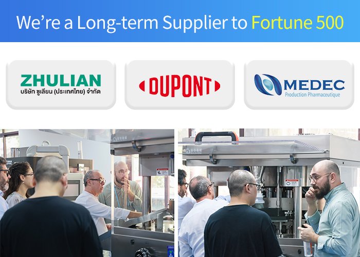 Big Size Tablet Press Machine