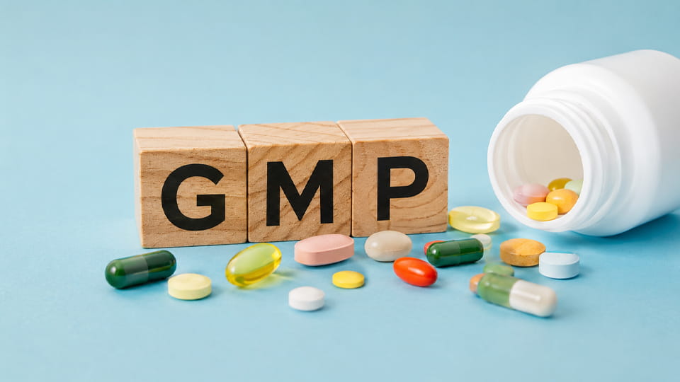 What is GMP