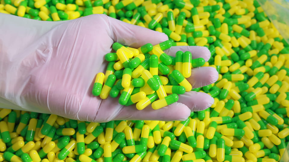 A batch of finished hard capsules after filling