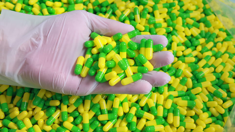 Filled hard-shell capsules inspected for quality after the capsule filling process