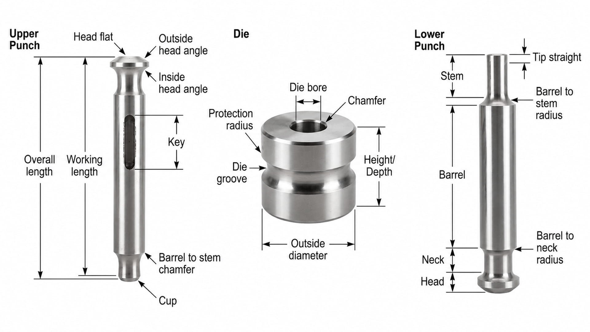 Tablet press tooling components showing upper punch, lower punch, and die with labeled structural parts
