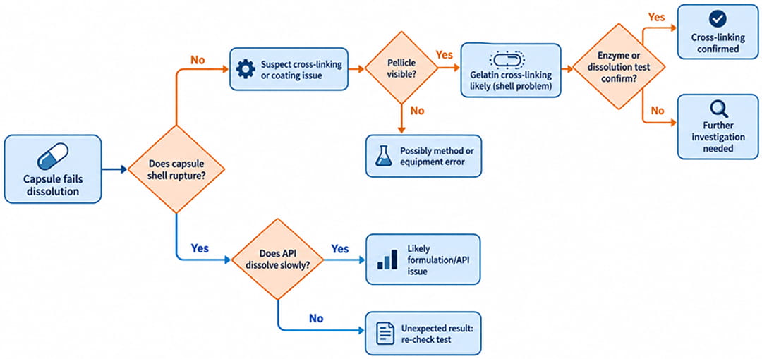 Capsule dissolution failure diagnostic flowchart for identifying gelatin cross-linking, formulation issues, pellicle formation, and testing errors.
