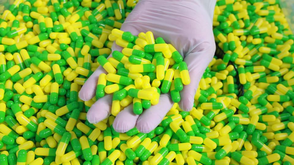 Large batch of finished capsules during capsule manufacturing scale-up