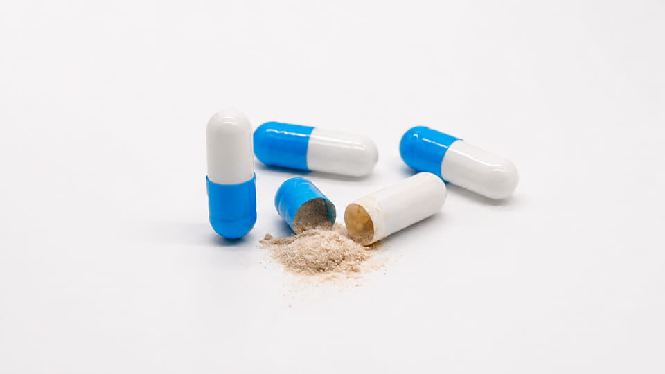 Gross vs net capsule fill weight comparison showing capsule shell weight and powder fill weight
